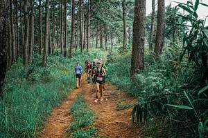 BIB: 
                            <button type="button" onclick="openModal(25670608)" class="btn btn-primary btn-sm float-right btn-popup" data-toggle="modal" data-target=".modal-high-quality">
                        <i class="fas fa-shopping-cart"></i> Add to Cart
                    </button>
                                            <button type="button" onclick="isThisMe(25670608, true)" class="btn btn-success btn-sm float-right btn-popup btn-isme hidden" data-toggle="tooltip" data-placement="bottom" title="นี่คือรูปของคุณใช่ไหม คลิกที่นี่เพื่อเอาเข้าอัลบั้ม">
                        <i class="fas fa-plus"></i> Add to album
                    </button>
                    <button type="button" onclick="isThisMe(25670608, false)" class="btn btn-warning btn-sm float-right btn-popup btn-isnotme hidden">
                        <i class="fas fa-ban"></i> Remove from album
                    </button>